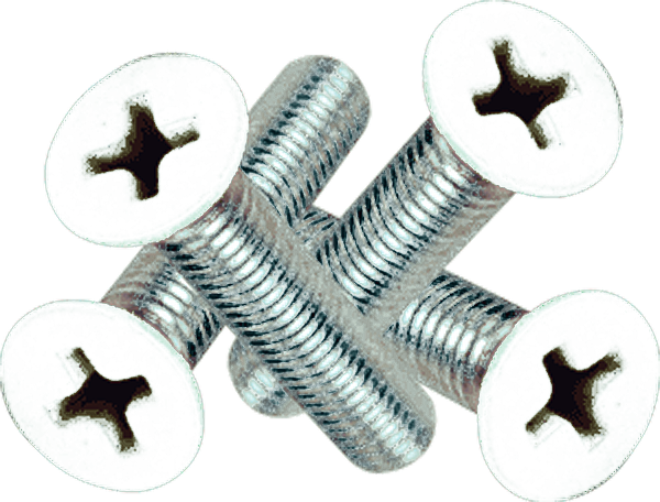 Standard Phillips Bolt 1" White Head