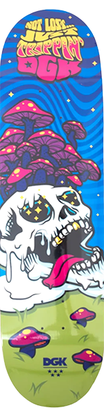 DGK Not Lost Deck 8.5