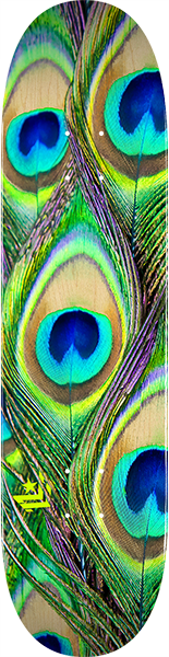 Mini-Logo Deck 191/K16 Mini 7.5 Peacock Feather