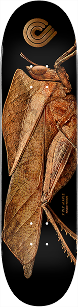 Powell Biss Leaf Grasshopper Deck 8.5 Sale