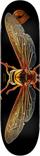 Powell Biss Potter Wasp Deck 8.0 Sale