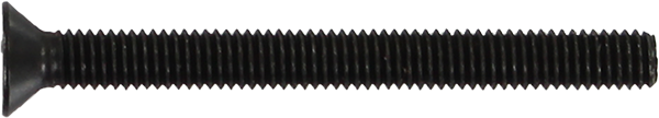 Standard Phillips Bolt 2 Inch