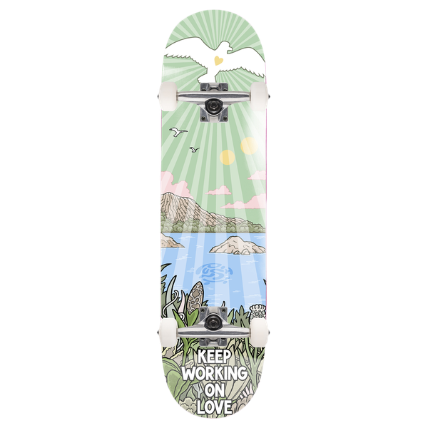 Push Jon Horner Guest Artist Complete 8.25 Multi