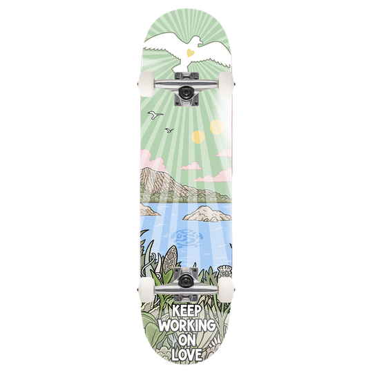 Push Jon Horner Guest Artist Complete 8.25 Multi