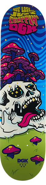DGK Not Lost Deck 8.25