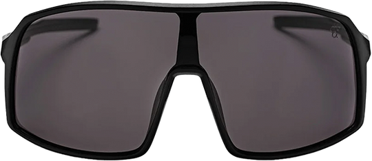 CHPO Erica Sunglasses Black