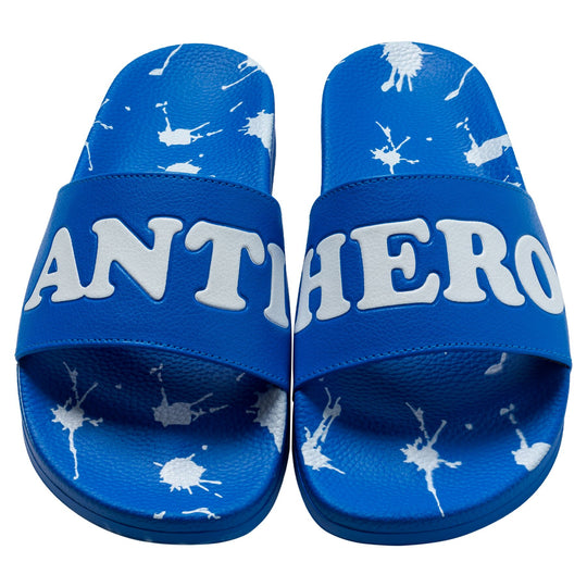 Anti Hero Damn You Blue Slides 12