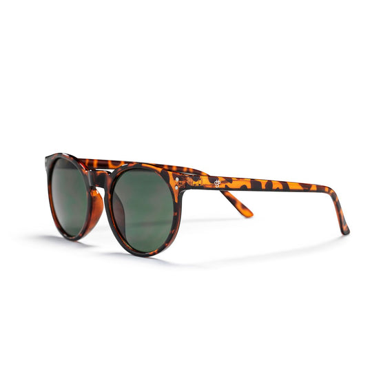 Chpo Toro Turtle Brown Sunglasses