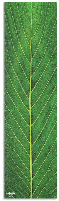 Habitat Leafline Grip Tape Sheet 9.00 X 33.00