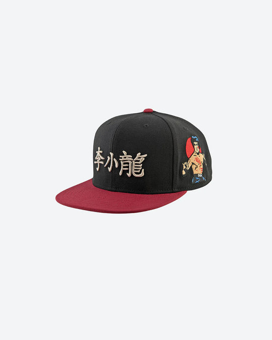 DGK X Bruce Lee Balance Snapback Hat Black