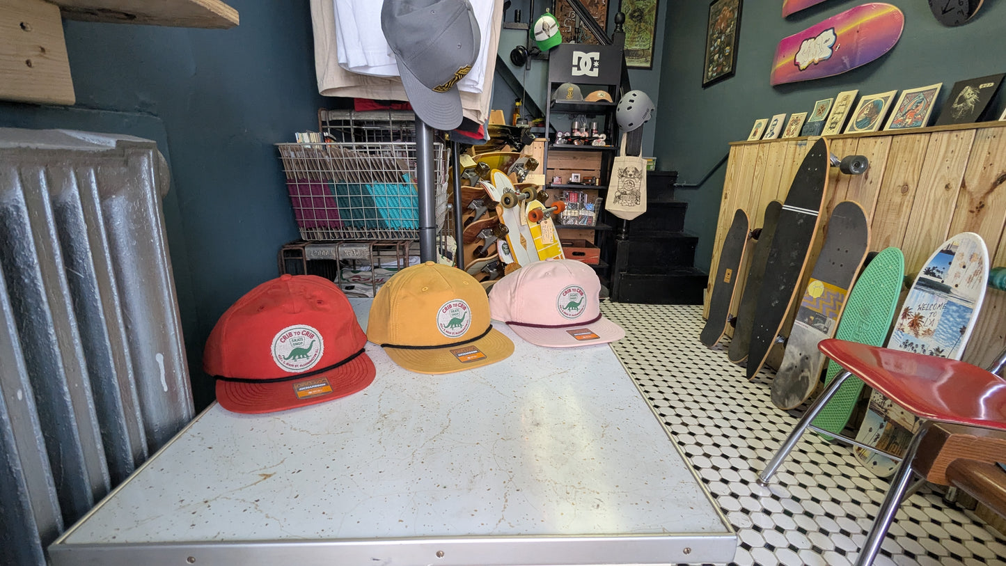 Crib to Crib Dino Skate Shop Hat