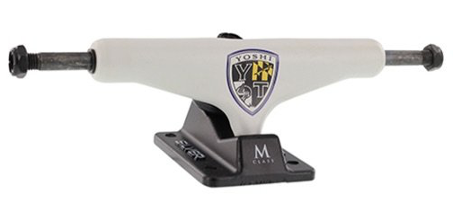 Silver Truck M Class Pro Yoshi Tanenbaum 8.5″